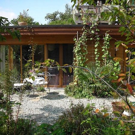 Dunkel Blaue Maus Bed & Breakfast ไมริงเงน ภายนอก รูปภาพ