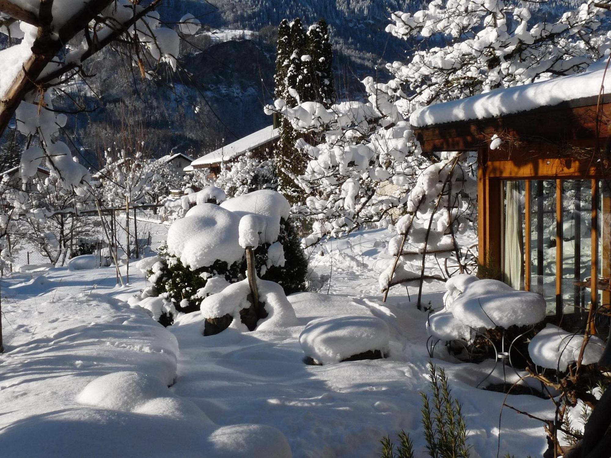 Dunkel Blaue Maus Bed & Breakfast ไมริงเงน ภายนอก รูปภาพ