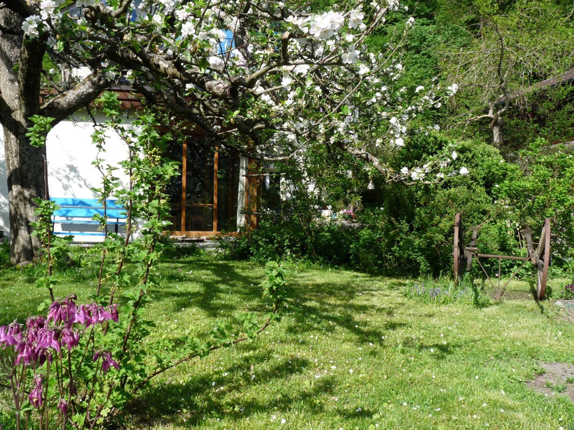 Dunkel Blaue Maus Bed & Breakfast ไมริงเงน ภายนอก รูปภาพ
