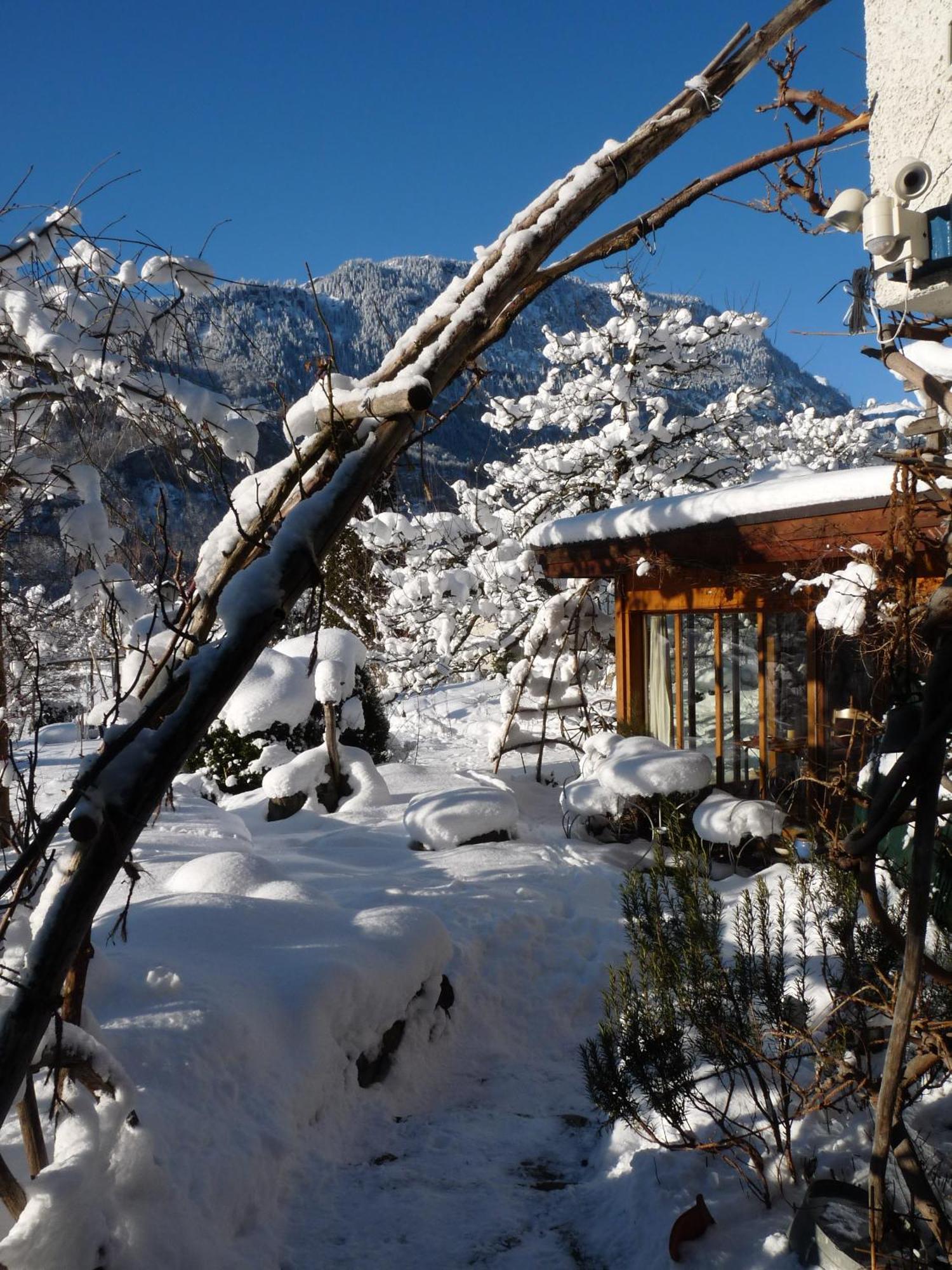 Dunkel Blaue Maus Bed & Breakfast ไมริงเงน ภายนอก รูปภาพ